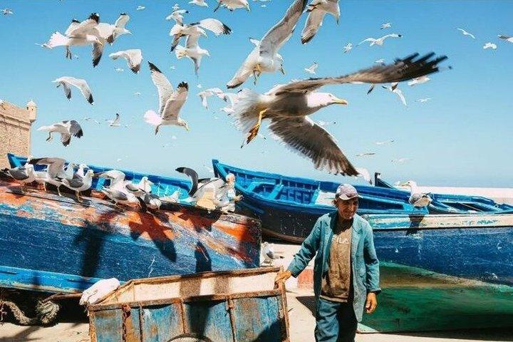 Luxury Private Day Trip to Essaouira From Marrakech