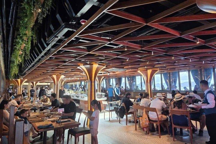 Dolphin Cruise Halong Bay Luxury Day Tour from Hanoi