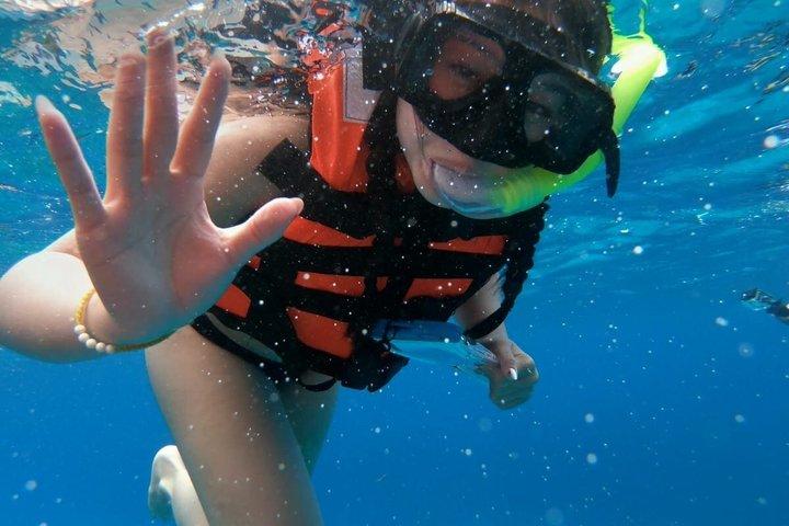 Shared Snorkeling Tour Playa El Cielo in Cozumel