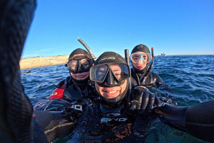 Snorkeling with Sea Lions
