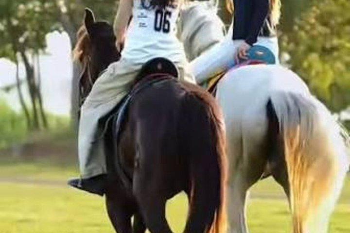 Horse Riding in Piliyandala