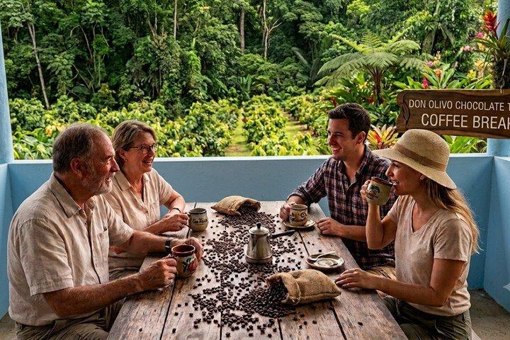 Don Olivo Chocolate Tour