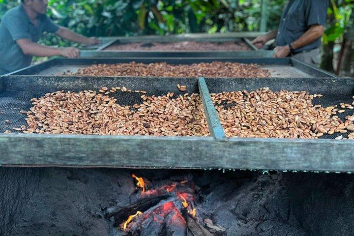 Don Olivo Chocolate Tour
