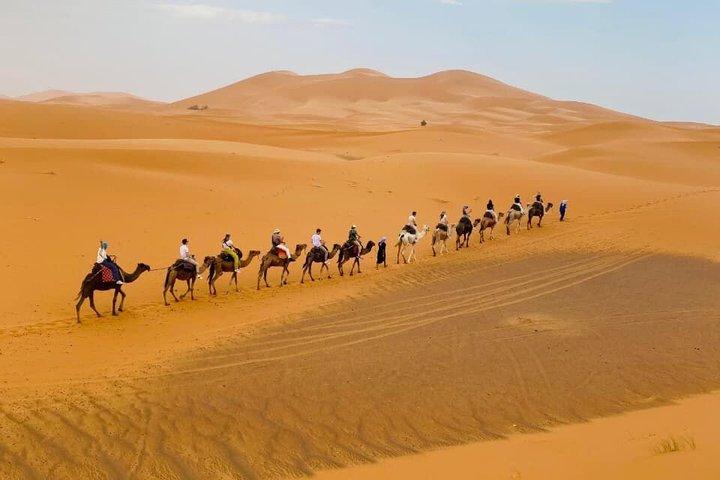 8-Day Private Morocco Tour: Imperial Cities, Sahara Desert