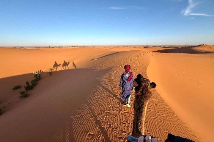 8-Day Private Morocco Tour: Imperial Cities, Sahara Desert