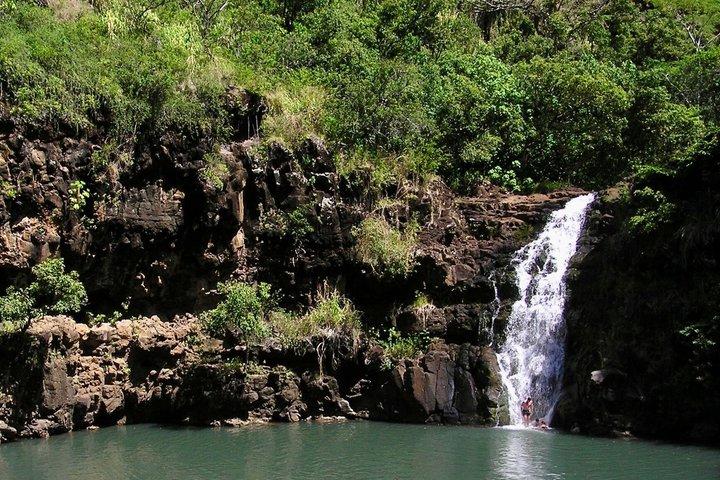 Oahu North Shore Fun: Waimea Waterfall & Turtle Snorkeling