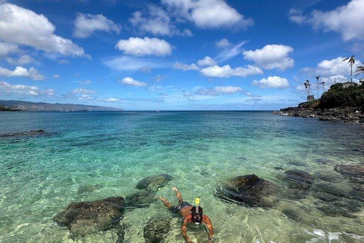 Oahu North Shore Fun: Waimea Waterfall & Turtle Snorkeling
