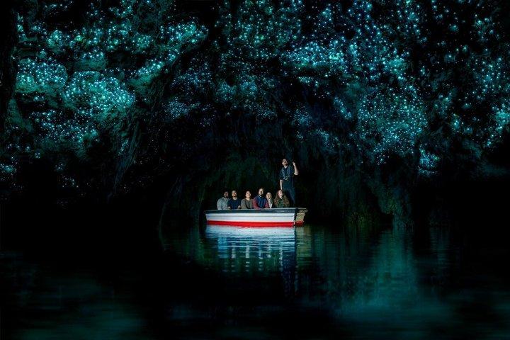 Auckland to Rotorua, Hobbiton and Waitomo 1 Way Small Group Tour