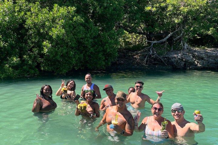 Cartagena 5 Island Hop Tour: Lunch, Snorkel, Beach Clubs, & More