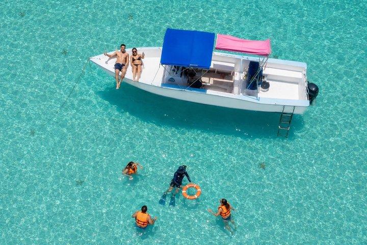Private Cozumel snorkeling: Palancar, El Cielo & ceviche