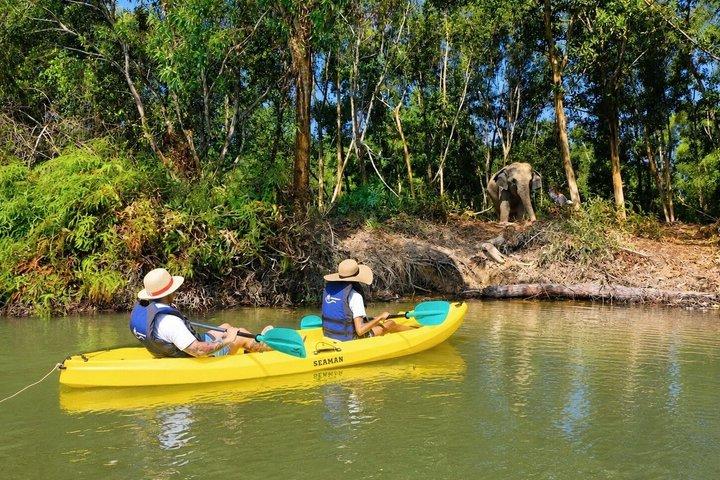 Phuket Elephant Observation & Lake Kayaking Experience