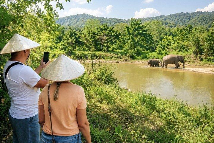 Phuket Elephant Observation & Lake Kayaking Experience