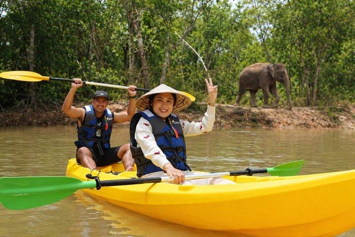 Phuket Elephant Observation & Lake Kayaking Experience