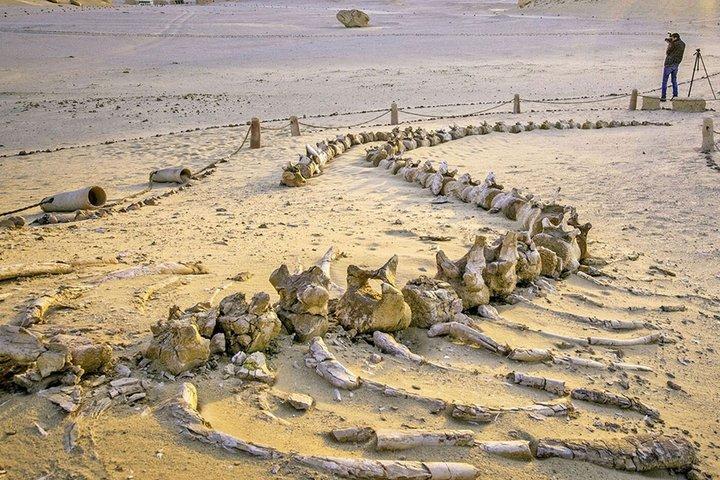 Overday Fayoum from Cairo Hotels