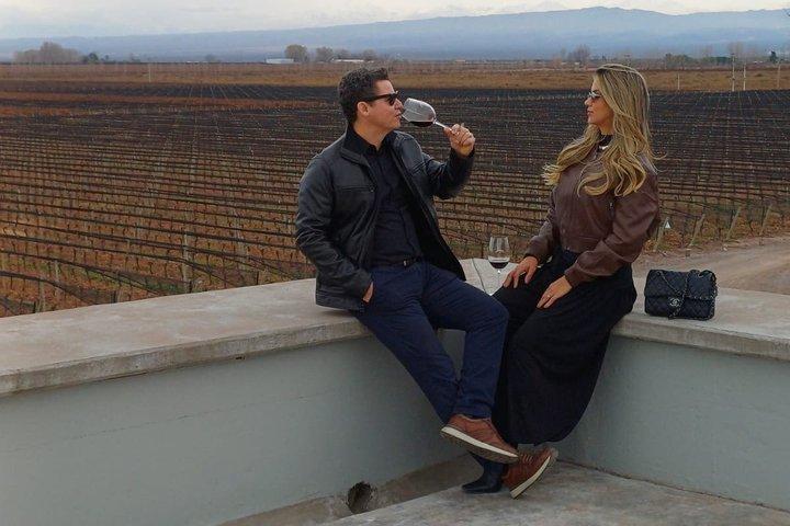 Casa Vigil (the enemy) + 2 wineries + Olivicola