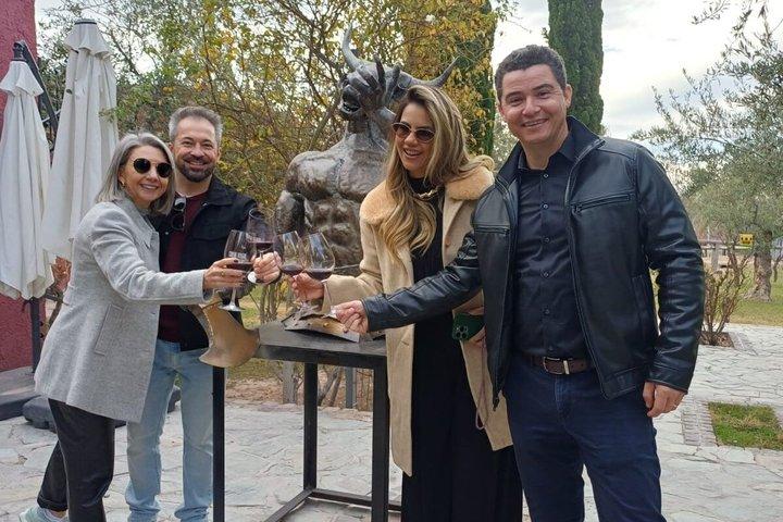 Casa Vigil (the enemy) + 2 wineries + Olivicola