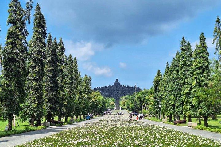 Borobudur Half Day Tour with Climb up Access