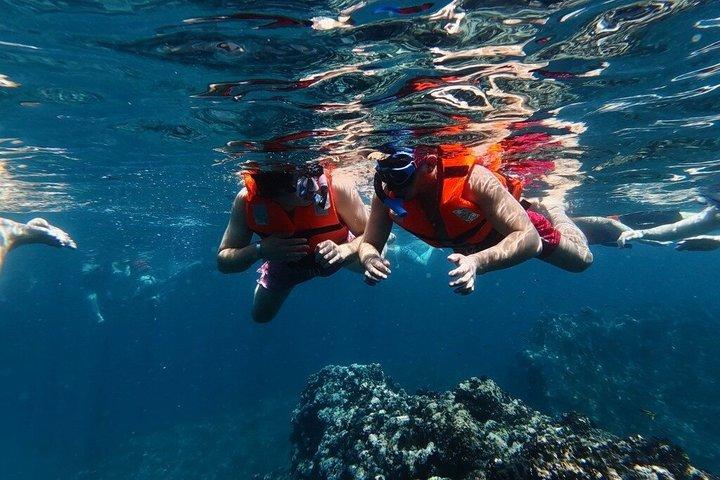 Los Arcos 5 Islands Snorkeling 3 Sea Caves and 6 Beach Adventure