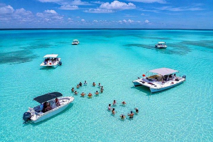 Private Cozumel snorkeling: Palancar, El Cielo & ceviche