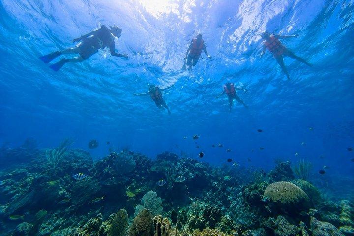 Private Cozumel snorkeling: Palancar, El Cielo & ceviche
