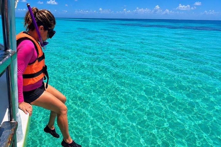 Private Cozumel snorkeling: Palancar, El Cielo & ceviche