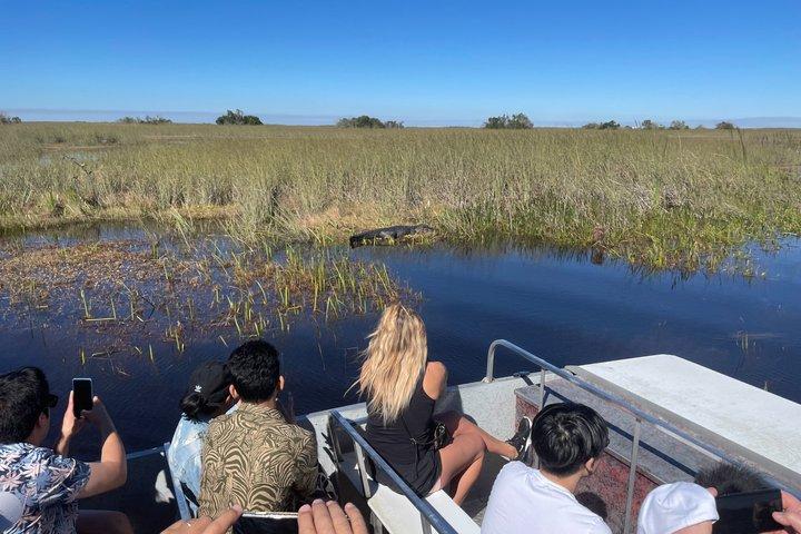 Miami: Everglades Airboat, Wildlife Refuge, with free transport