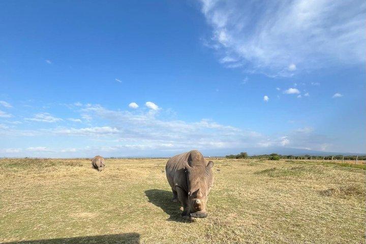 6-Day Ultimate Northern Kenya Safari