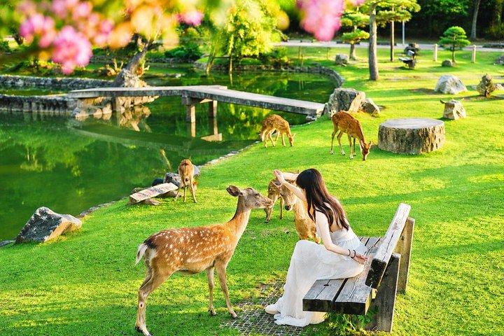 Kyoto & Nara Day Trip with Optional Lunch : From Osaka / Kyoto