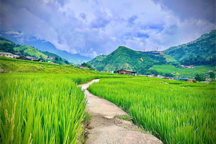 Sapa Trekking Tour: Y Linh Ho & Lao Chai with Local Guide