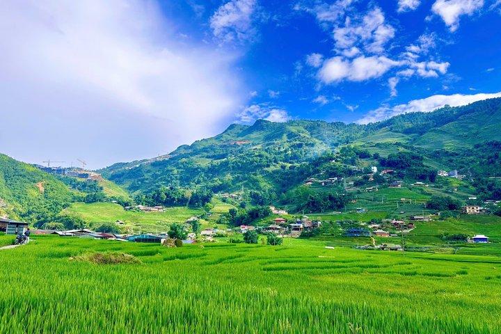 Sapa Trekking Tour to Y Linh Ho & Lao Chai with Local Guide