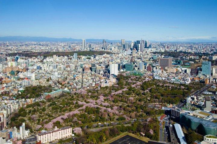 Roppongi Hills Observation Deck Ticket with Tokyo Skyline Views