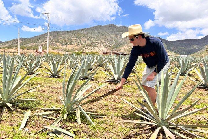 Authentic Mezcal Experience Oaxaca Small Group Local Producers