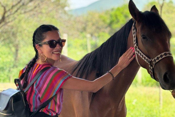 Authentic Mezcal Experience Oaxaca Small Group Local Producers
