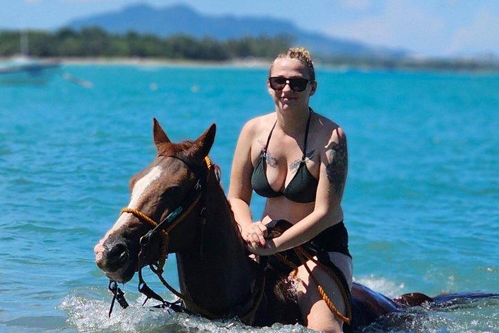Puerto Plata: Horseback Riding in Small Groups Beach & Swim Horse