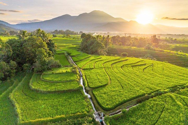 Bali UNESCO Rice Terrace, Beratan Temple & Tanah Lot Private Tour