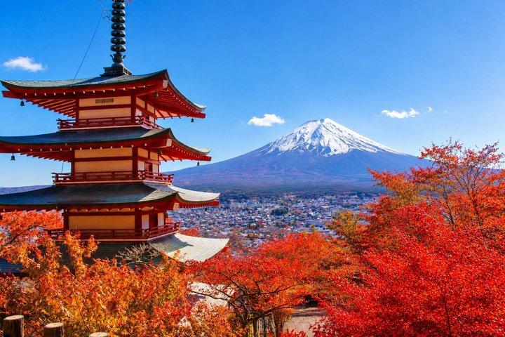 Mt.Fuji, Arakurayama,Fujimichi,Oishi Park, Kawaguchiko from Tokyo