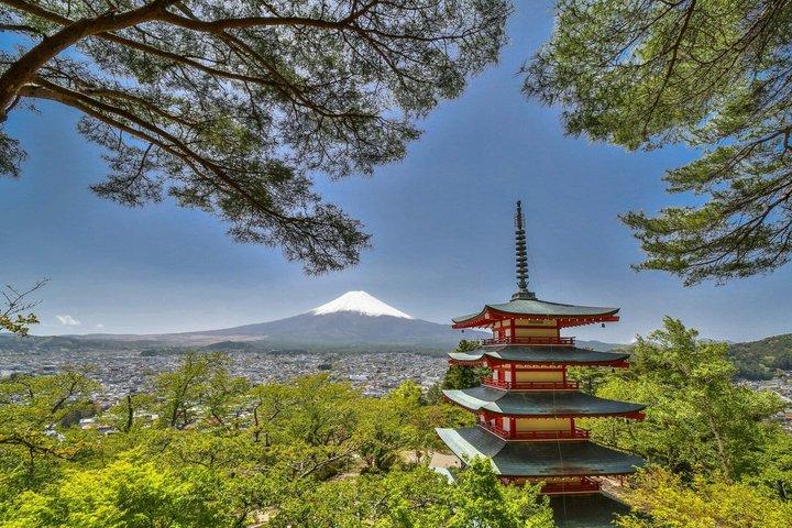 Mt.Fuji, Arakurayama,Fujimichi,Oishi Park, Kawaguchiko from Tokyo