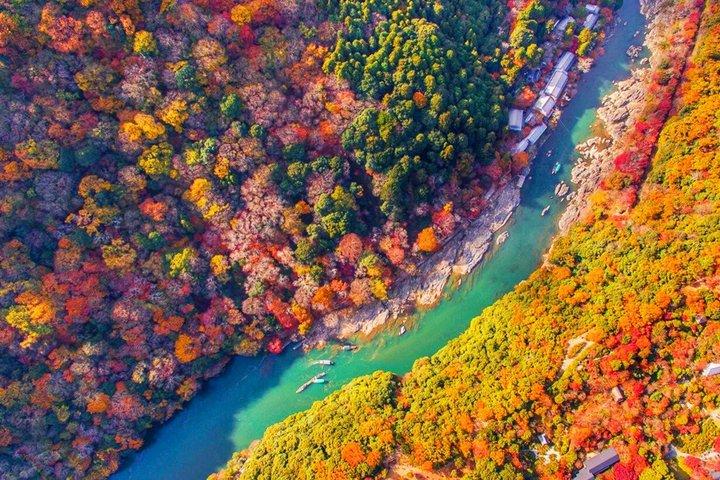 Kyoto Day Tour Arashiyama Scenic Train and Hozugawa River Cruise