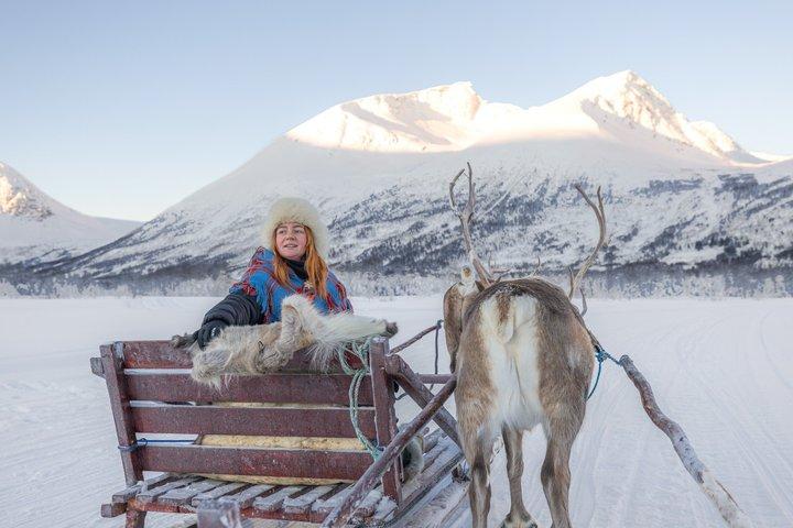 Reindeer Sledding & Feeding with Sámi Culture in Tromso