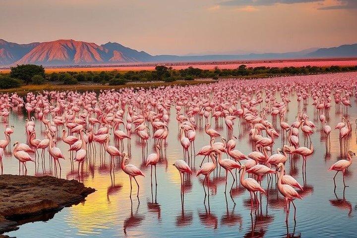 5-Day Masai Mara, Lake Nakuru & Hell's Gate Budget Safari