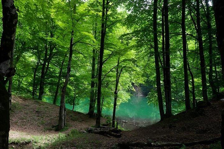Hidden Garanohur Lake: Full-Day Guided Forest Hike from Baku