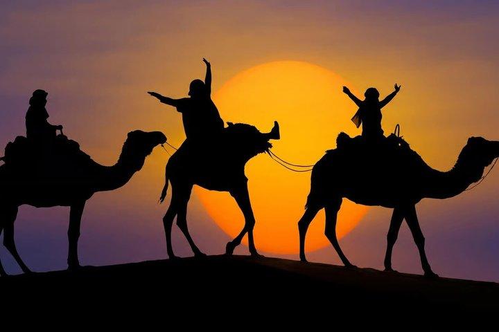 Marrakech : Desert Agafay Sunset, Camel Ride, Dinner Show