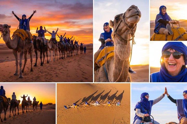 Marrakech : Desert Agafay Sunset, Camel Ride, Dinner Show