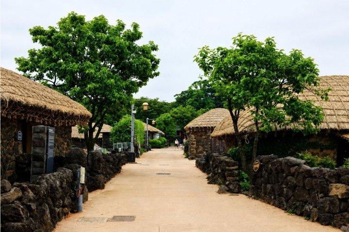 Best Jeju Day Tour: UNESCO & Must-See (East/SouthWest)