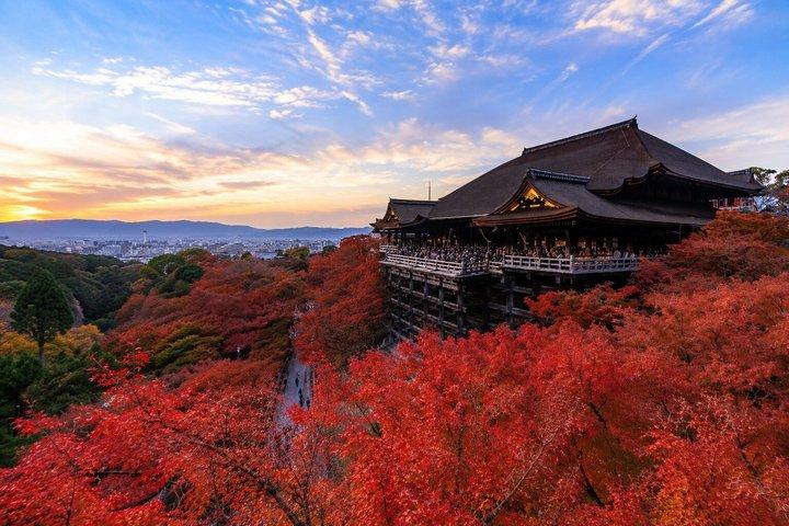 1 Day Kyoto UNESCO World Heritage Sites Bus Tour