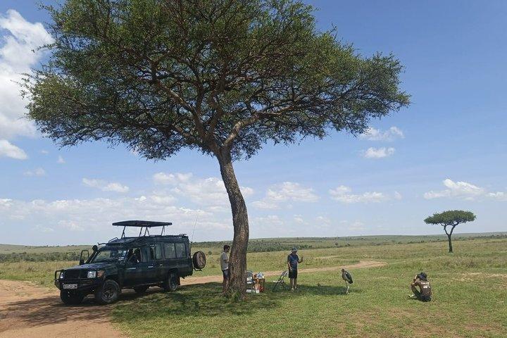 Maasai Mara National Reserve 3-Day Budget Safari Tour