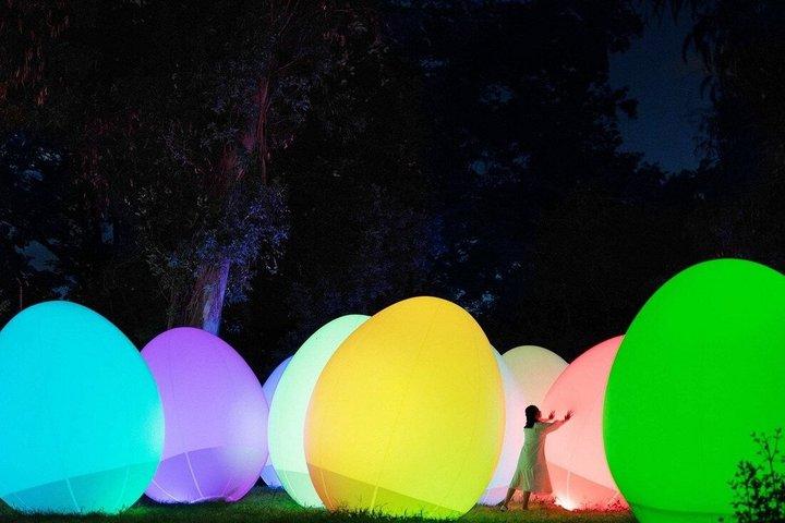 TeamLab Botanical Garden Osaka Interactive Light Art Ticket