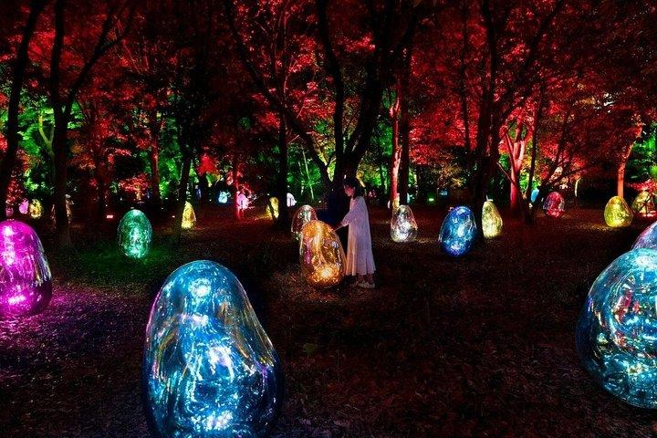 TeamLab Botanical Garden Osaka Interactive Light Art Ticket