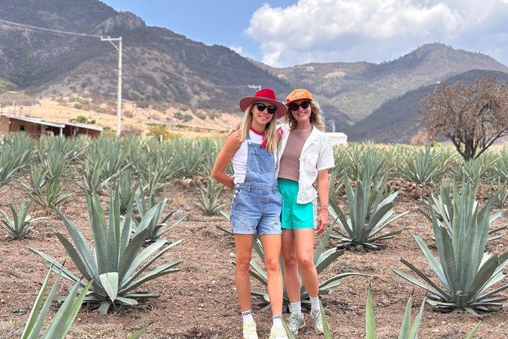 Authentic Mezcal Experience Oaxaca Small Group Local Producers