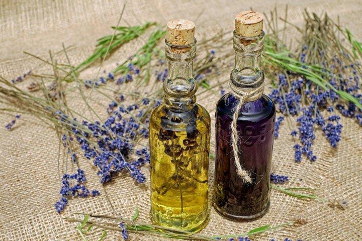 Hvar Lavender Fields,Stone Villages & Scenic Views by eTuk Tuk